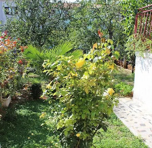 Apartman Two-bedroom In